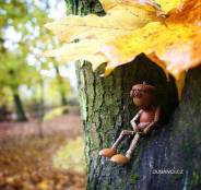 Acorn Figure in Tree.MLee